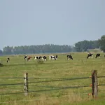 In Near Hambroek * Haarlo