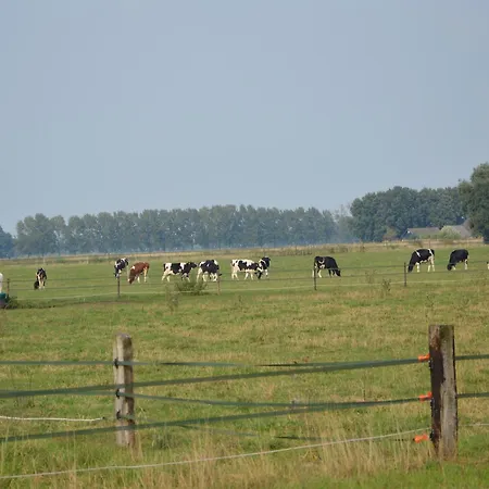 In Near Hambroek * Haarlo