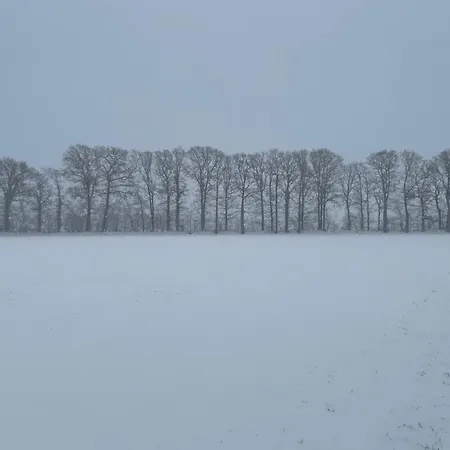 Semesterbostad In Near Hambroek *