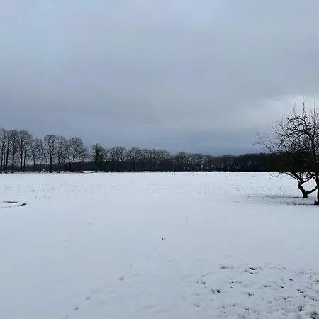 In Near Hambroek Haarlo