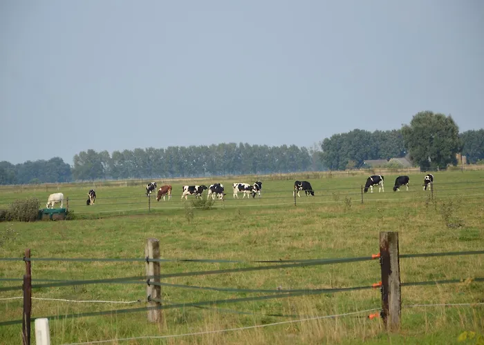 In Near Hambroek * Haarlo