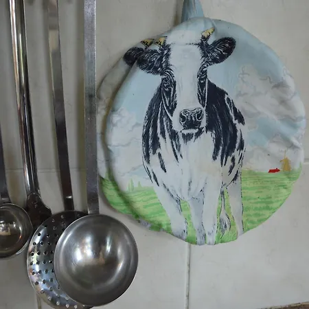 Farmhouse In Haarlo Near Lake Hambroek Holiday home *