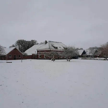 Farmhouse In Haarlo Near Lake Hambroek Holiday home *