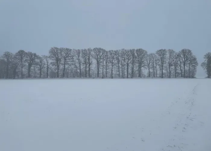 بيت للعطل In Near Hambroek *